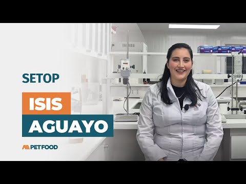 SETOP GROUP - BlendMax-3