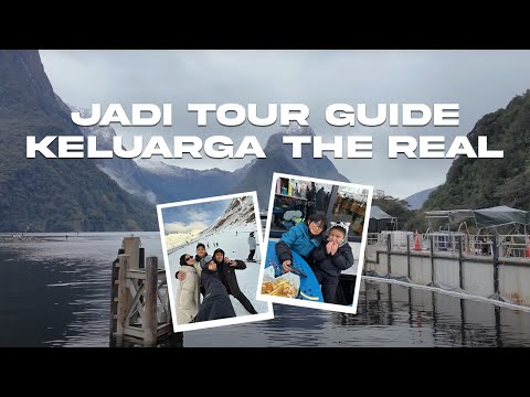 Milford Sound NZ Diary: Becoming a Tour Guide for The Real Family!