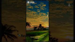 Download lagu Story Lirik Lagu Repvblik #shorts #repvblik mp3