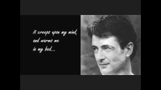 Vision Peter Hammill (lyrics)
