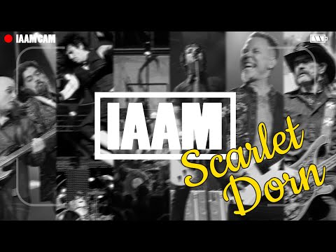 IT'S ALL ABOUT MUSIC LIVE - Scarlet Dorn