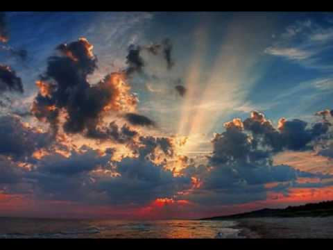 Kippenvelmeter - Shane 54