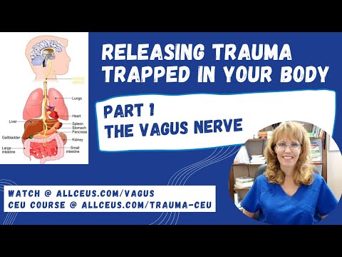 How Trauma Gets Trapped in Your Body Part 1 the Vagus Nerve