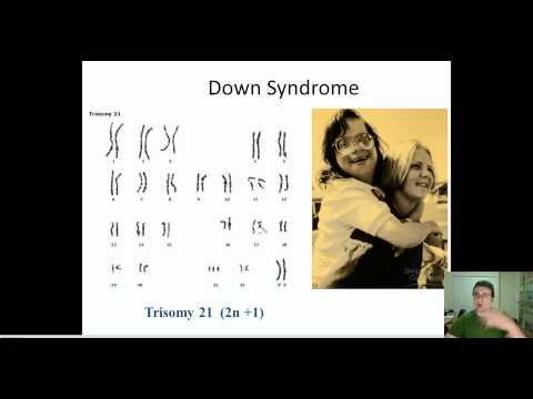 Non-Disjunction Disorders