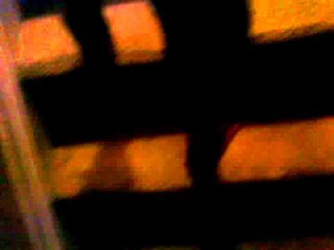 Bonnie walking up the stairs. On her own.