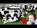 I bred a PANDA ARMY in Minecraft (part 10)