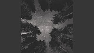 The Birds Will Sing for Us