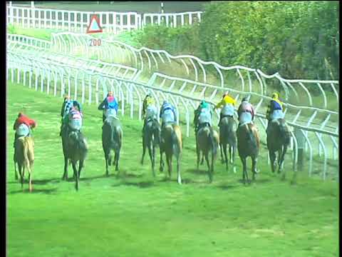 Galoppo 27/12/2017 - 5ª corsa