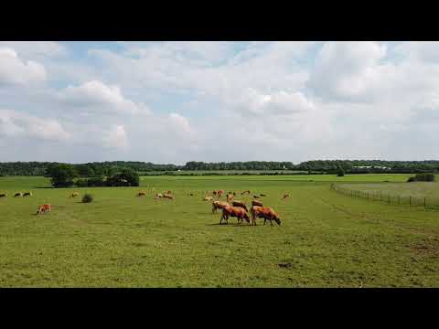 Video de YouTube - Campo Ganadero Agricola en Venta - Rio Negro, Sobre Ruta, Establecimiento Completo