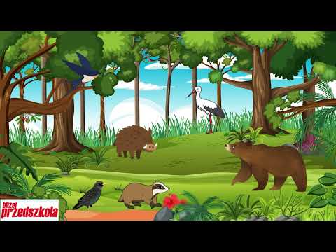 🌞🌱Wiosenne porządki | Piosenki dla dzieci 🐻