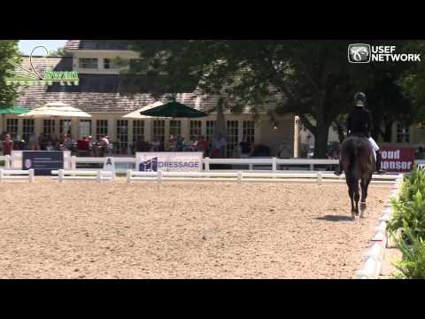 Fashion Designer O.L.D. - Young Horse Dressage Five-Year-Old National Champion