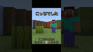 どっちが本物？（マイクラ）