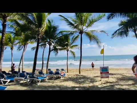 Videos del Viva Tangerine By Wyndham 4★ en Cabarete, República DominicanaVer MásVerPrecios19CerrarConsulta por Whatsapp 🇦🇷BookingTripadvisorExpediaAgodaTravelocityOrbitzPricelineTripSkyscannerDespegarKayakHotelesDestiniaTrivagoTurismocityLastminuteHotwireTuiWotif