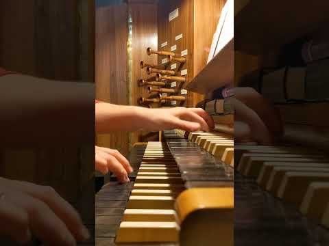 Lobe den Herren, den mächtigen König EG 316/EG 317 #shorts