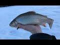 Video Thumbnail for March 23 Northern Alberta Brook Trout