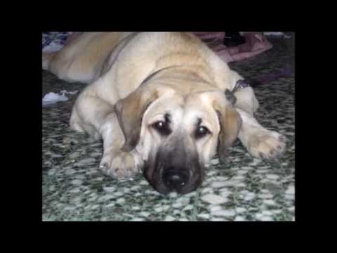 Memory of my beloved one