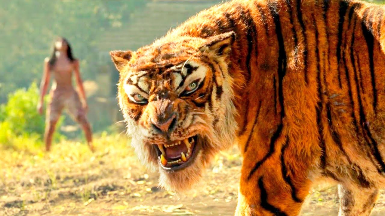Ele foi abandonado para lutar com o TIGRE de BENGALA mais PODEROSO da SELVA e se tornar o NOVO REI