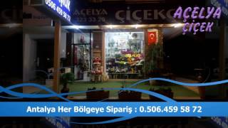 Lara Çiçekçi - 0506 459 5872 - Açelya Çiçek