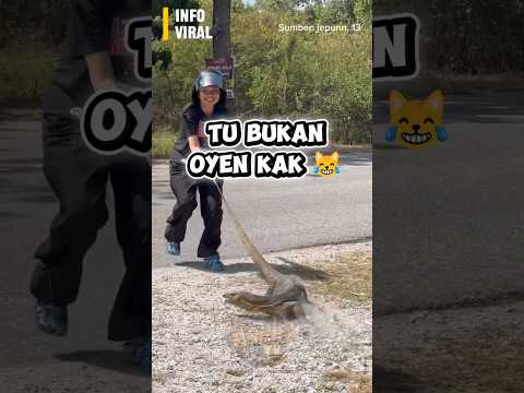 Awek Kedah tarik biawak camtu je😅😅