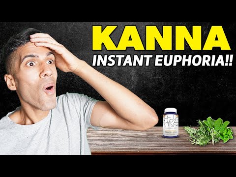 Kanna: The Spiritual Supplement That Will Change Your Life