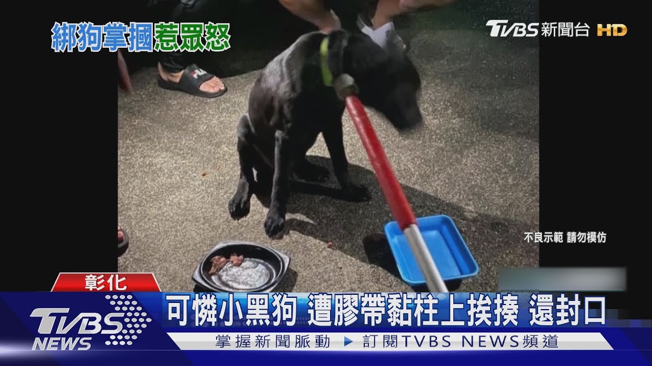 可憐小黑狗 遭膠帶黏柱上挨揍還封口