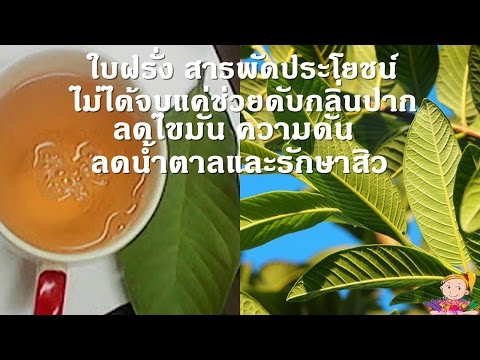 สิ่งที่ยาช่วยในการรักษาโรคสะเก็ดเงิน แช่ Sophora ของโรคสะเก็ดเงิน