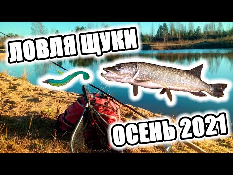 Фото Вперед за щукой! Рыбалка со спиннингом  Осень 2021