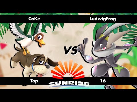 Solar Flare 2024 - CaKe (Duck Hunt) vs LudwigFrog (Greninja) - Ultimate Singles - Top 16