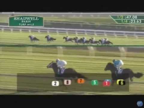 Gio Ponti - 2011 Shadwell Turf Mile Stakes