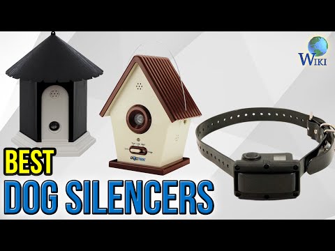 6 Best Dog Silencers 2017