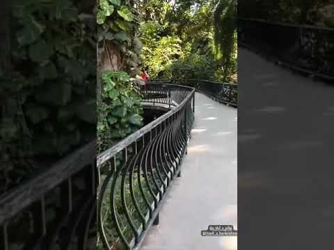 #trivandrum #trivandrumzoo #explore #animals #butterfly #park #birds #reptiles