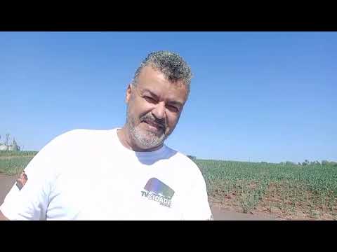 TV CIDADE DIGITAL CIDADE DE MERCEDES-PR