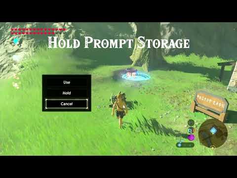 Hold Prompt Storage Tutorial (BOTW)