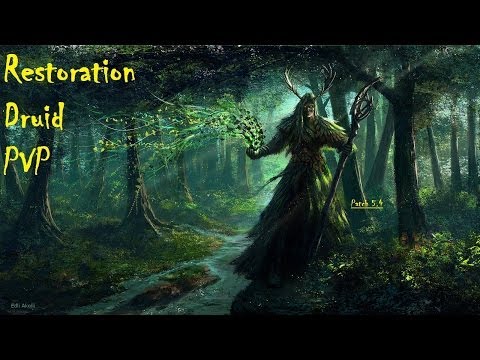 WoW (MoP) Resto Druid PvP (2v2): That was Stupid.