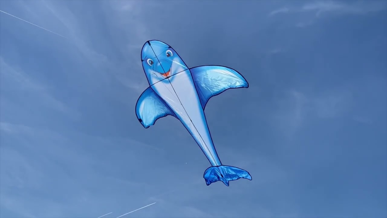 Létající drak Dolphin Kite