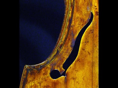 Valerio Losito plays Suite in D minor for Viola d'amore by an anonymous 17th century composer