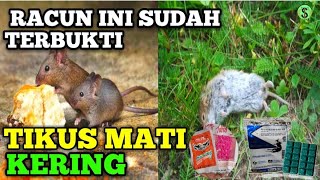 Download lagu Merk racun tikus mati kering mp3