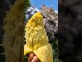 Mango Kiew Saview video