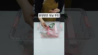유튜브 썸네일