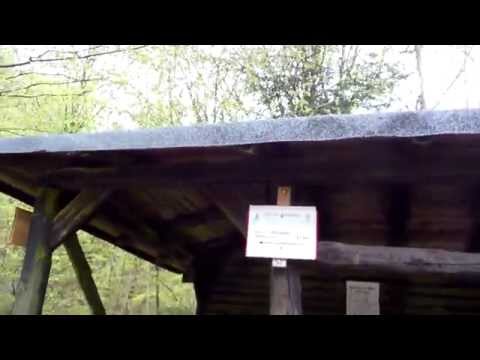 Stempelstelle 166 Helbing-Hütte - Harzer Wandernadel