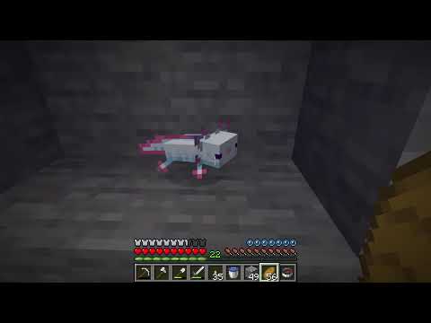 This is very strange fish - Minecraft