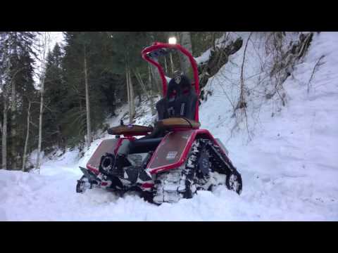 Aebi EC170 im Schnee