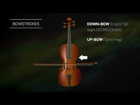 Samplemodeling Strings - Tutorial n.4 (Bow-strokes & Detaché)