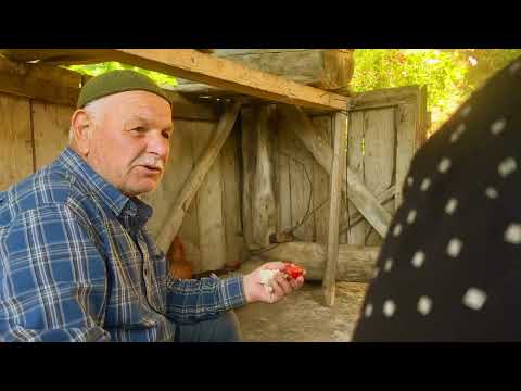 SHARA - Shara's Adjaruli | შარა - შარას აჭარული