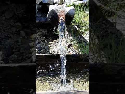 Kroni i Ftoft - Vojdullë