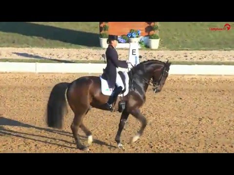 Dorothee Schneider | Showtime | CDI 5* Grand Prix | Pferd International | München | 2016