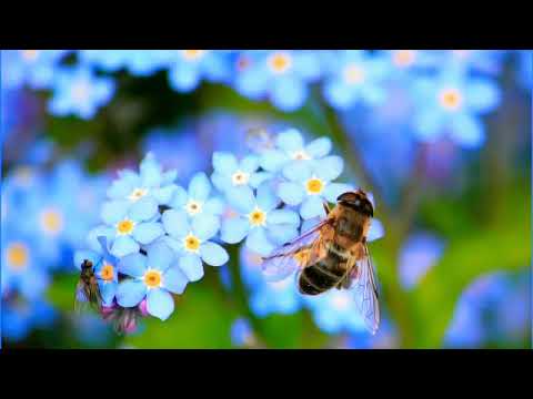 KSMK X Dizaro - You Make Me