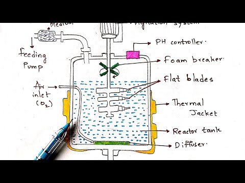Fermentation process Working of Fermenter Nutrient medium for fermentation Bioreactor