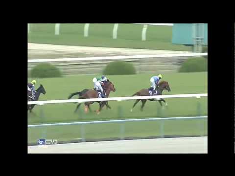 2015.05.03 Tenno Sho (Spring) "Emperor's Prize" - Gold Ship
