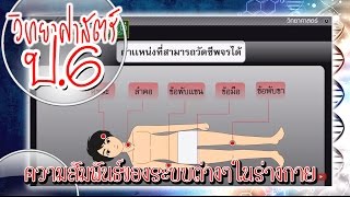 สื่อการเรียนการสอน ความสัมพันธ์ของระบบต่างๆในร่างกาย ป.6 วิทยาศาสตร์